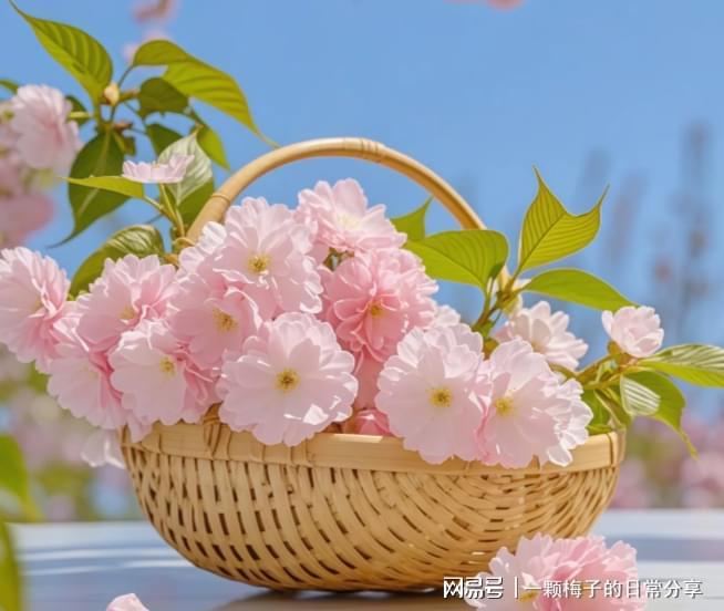 没有早点发现这十款！简直太好用了！AG真人网页护手霜哪个牌子好？后悔(图10)